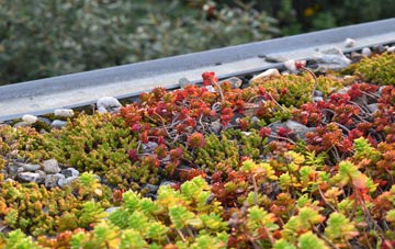 the cost of Cold Moss Heath green roof installation