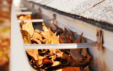 Cold Moss Heath gutter cleaning companies
