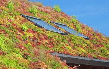 Cold Moss Heath living roof systems