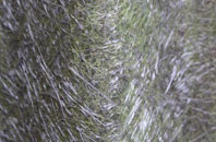 Cold Moss Heath fibreglass roof work