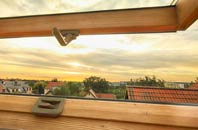 rated Cold Moss Heath roof window companies